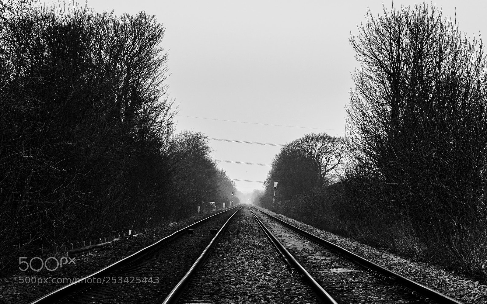 Olympus OM-D E-M10 II sample photo. Train tracks 2 photography