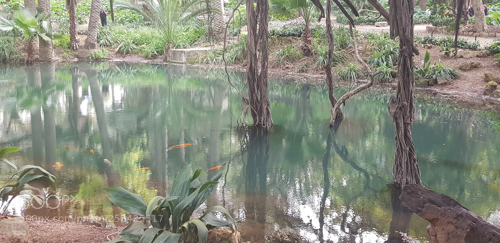 Samsung Galaxy S8 sample photo. Untitled photography