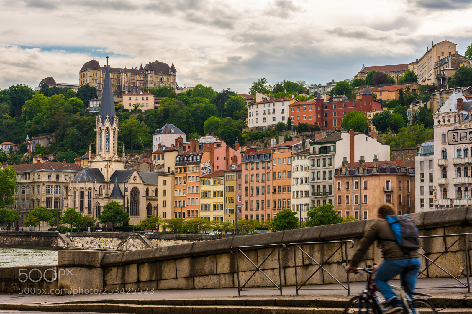 Nikon D7200 sample photo. Lion city, france photography