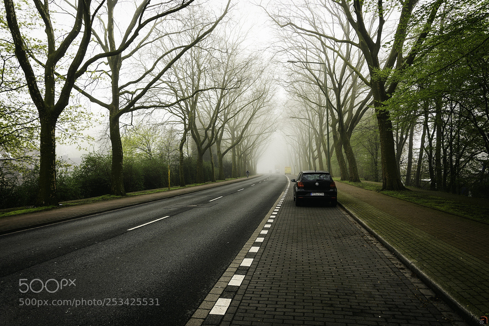Nikon D7200 sample photo. Untitled photography