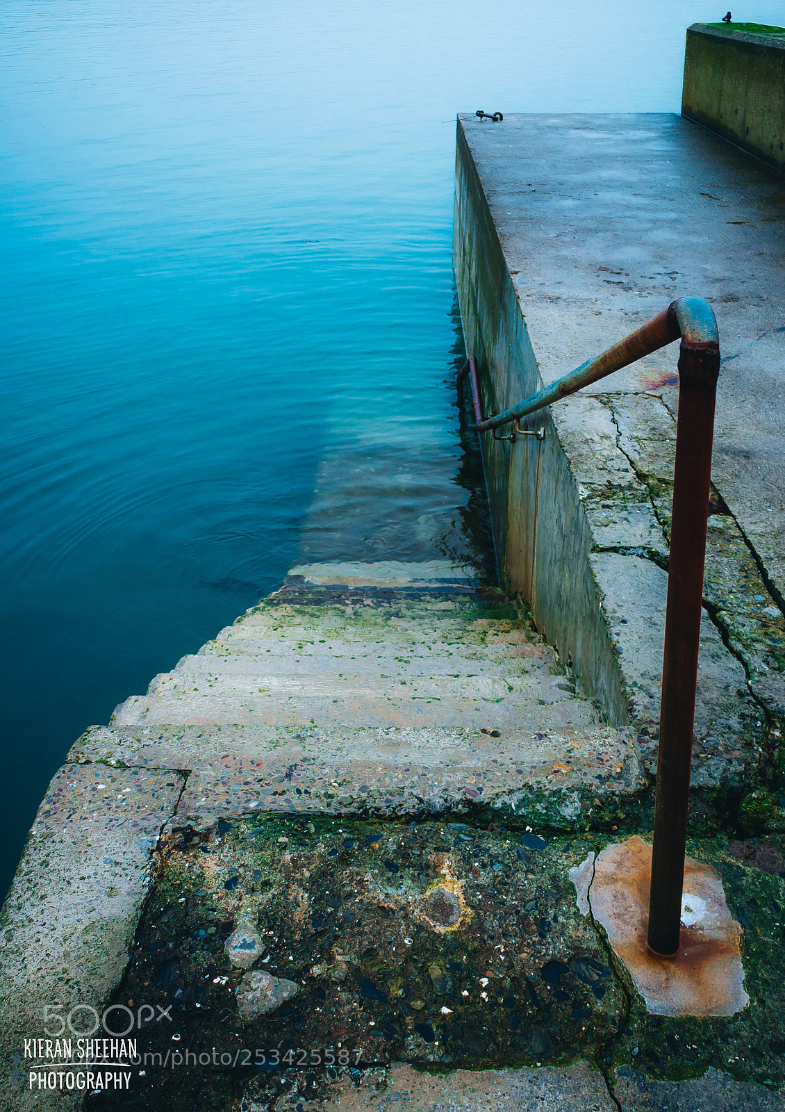 Canon EOS 700D (EOS Rebel T5i / EOS Kiss X7i) sample photo. Feeling blue photography