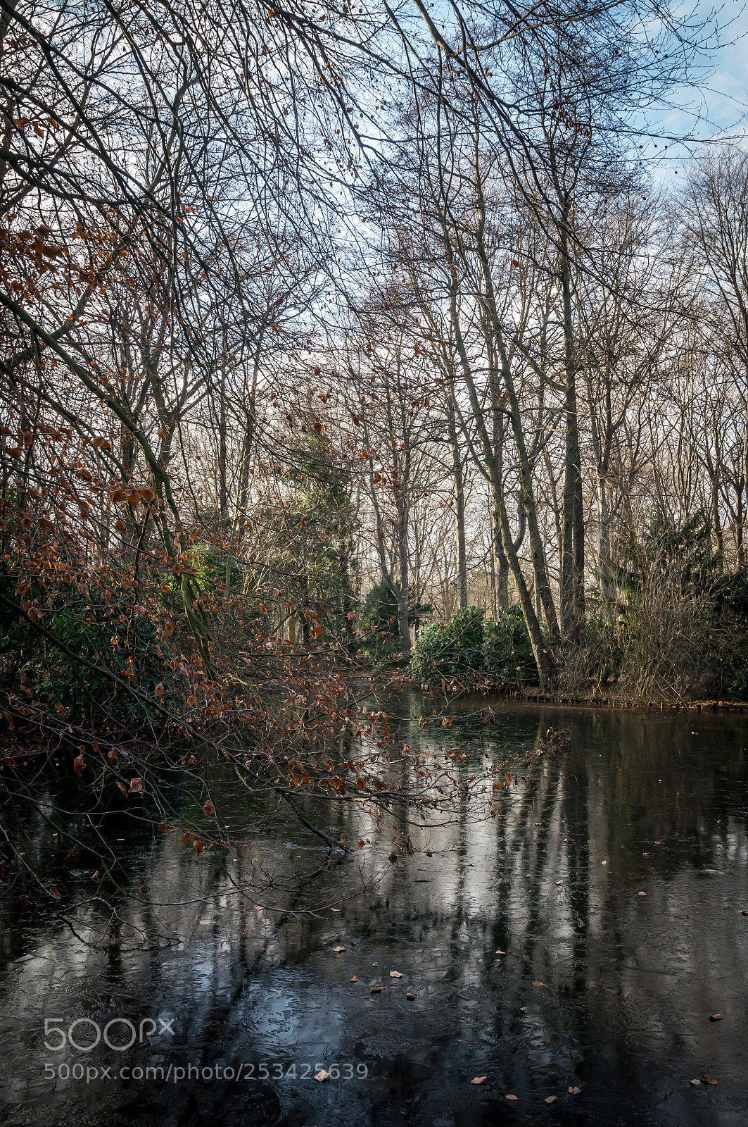 Sony SLT-A57 sample photo. Frozen lake photography