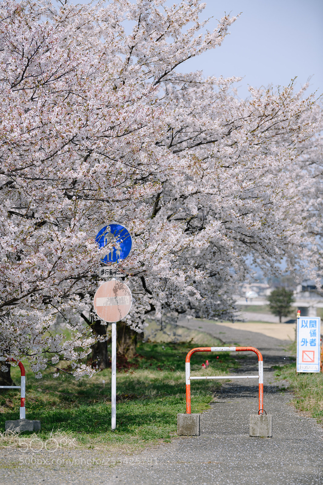 Nikon D850 sample photo. Dsc photography