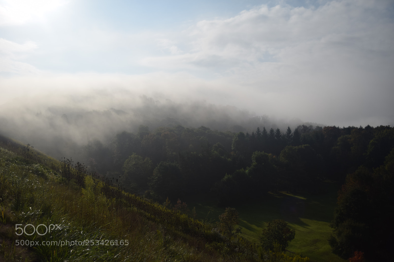Nikon D3300 sample photo. Fog and light photography