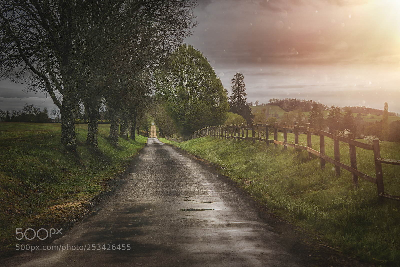 Sony ILCA-77M2 sample photo. The countryroad photography