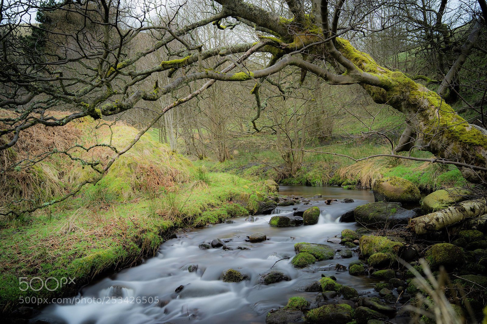 Sony a7 II sample photo. Crowden brook photography