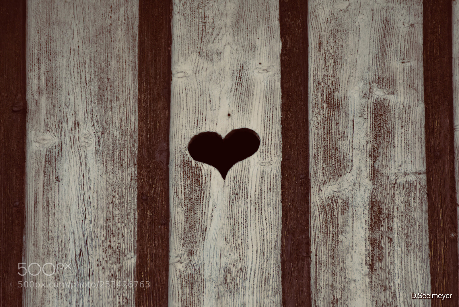Nikon D3400 sample photo. Untitled photography