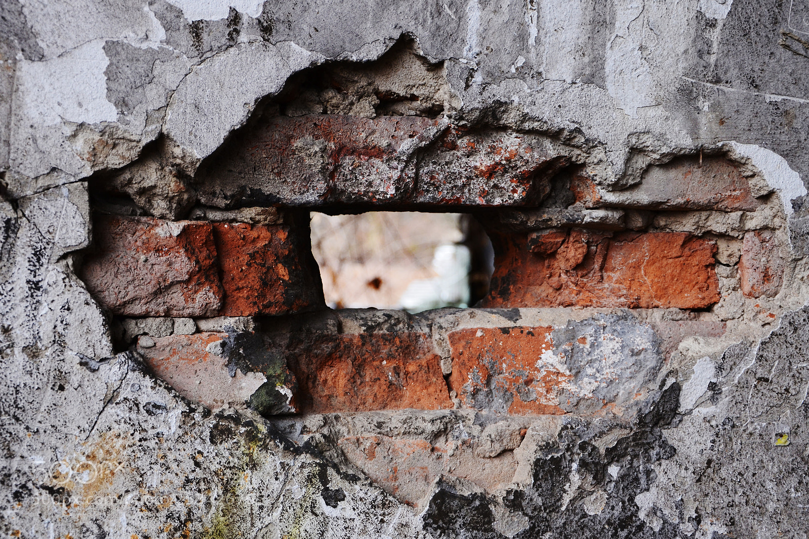 Nikon D5100 sample photo. Window photography