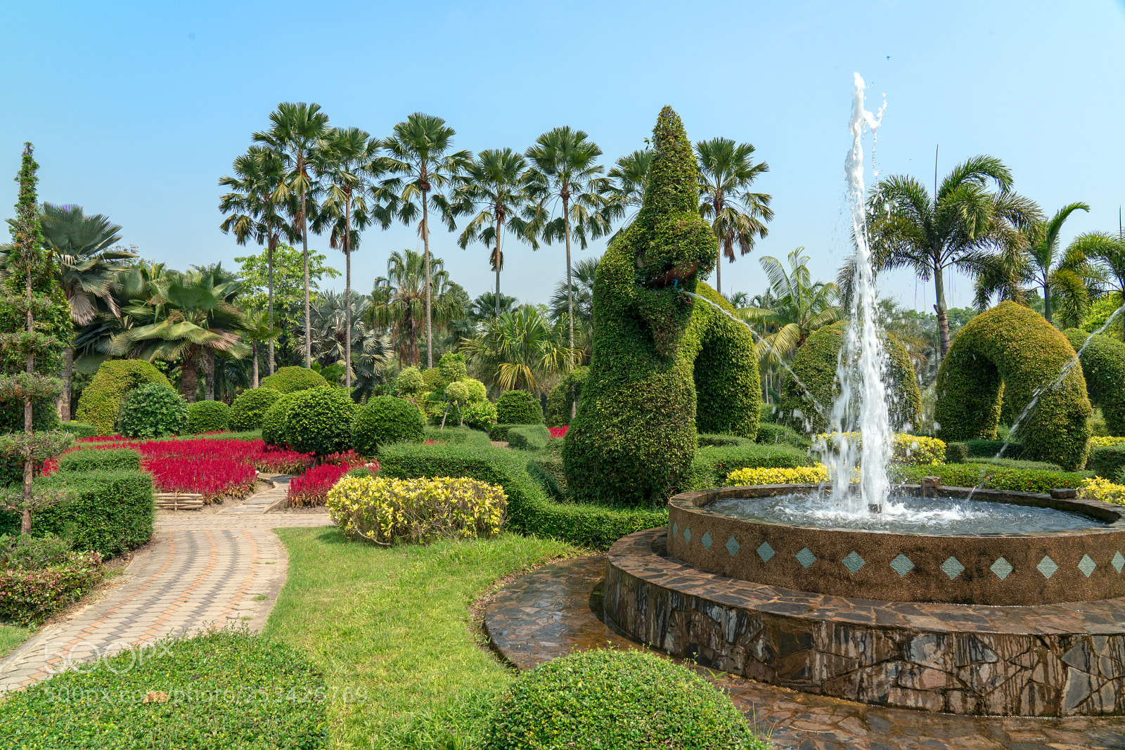 Sony a7R III sample photo. Botanical tweechol photography
