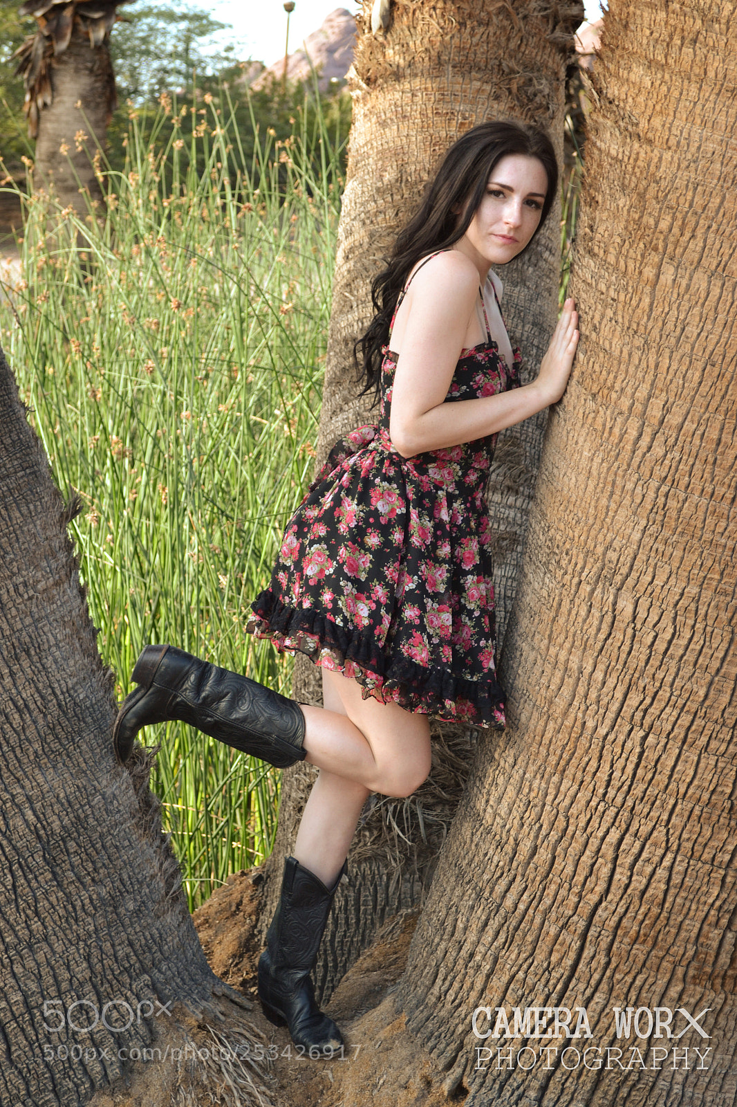 Nikon D3100 sample photo. Untitled photography