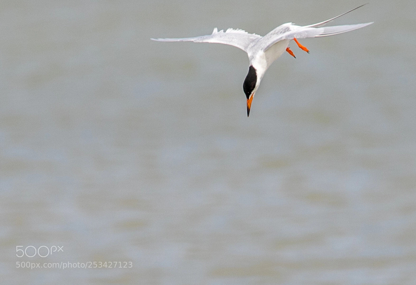 Canon EOS 7D Mark II sample photo. Fishing photography