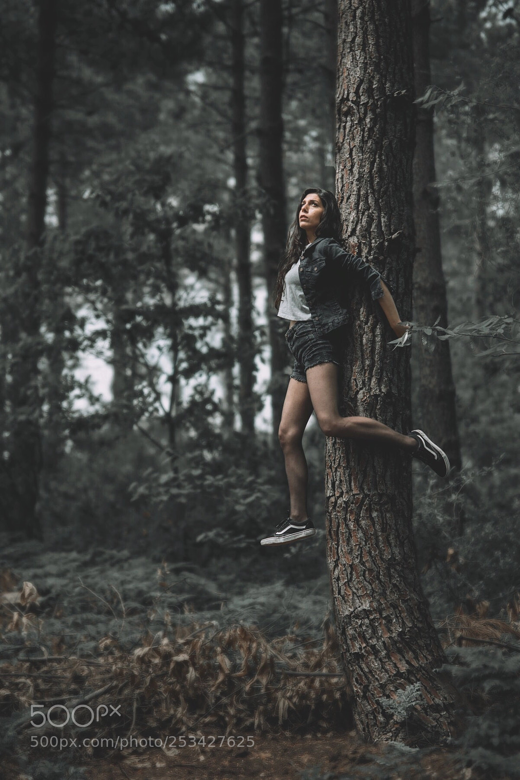 Nikon D810 sample photo. Lvtn photography