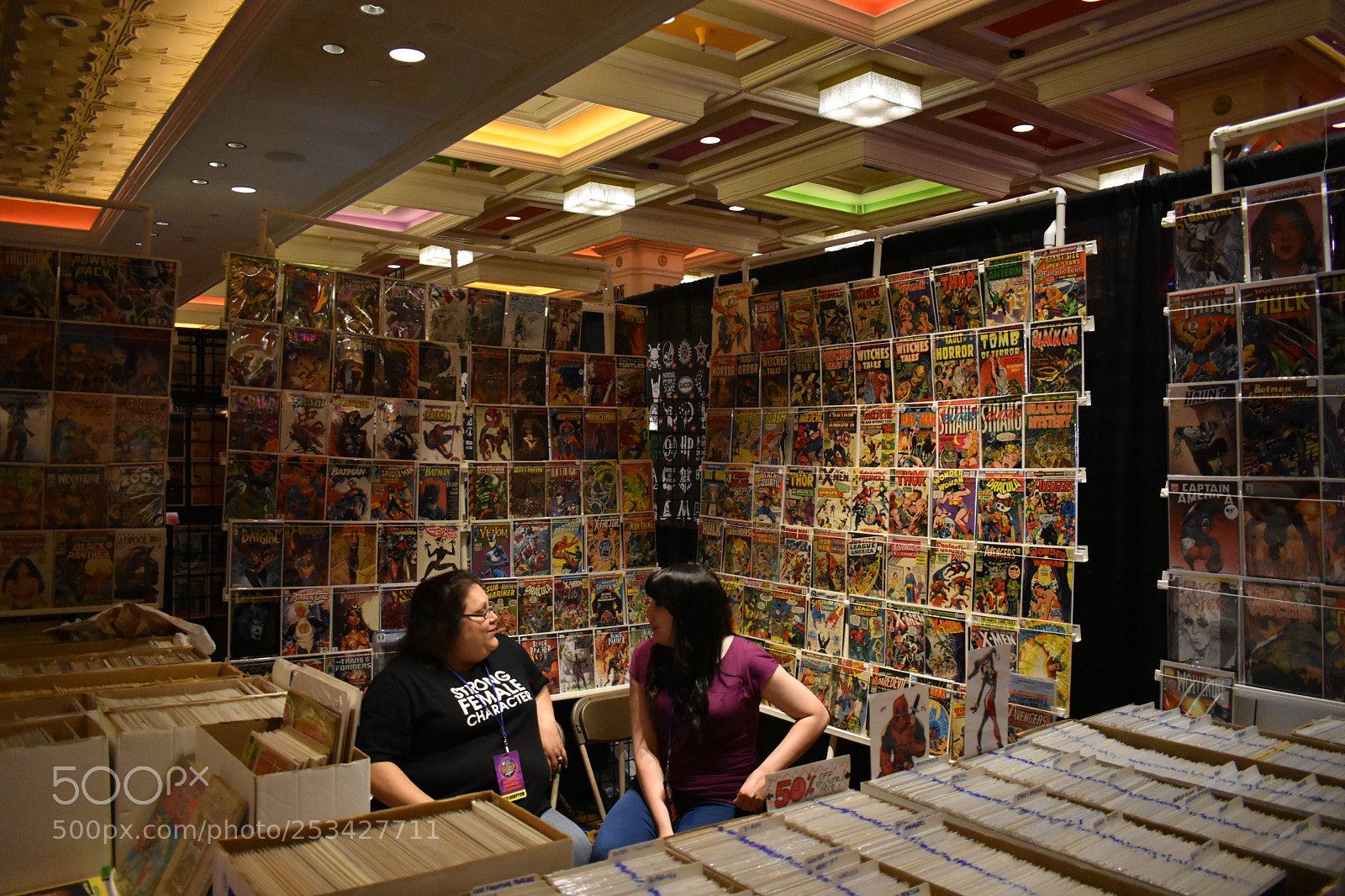 Nikon D3400 sample photo. At the show photography