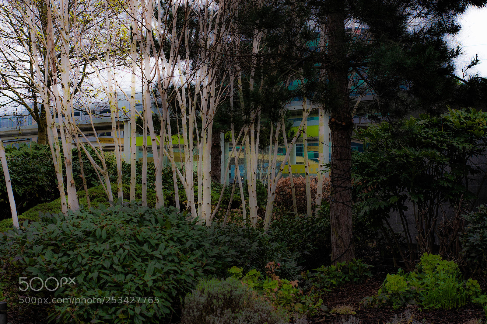 Canon EOS 40D sample photo. Manchester lowry photography