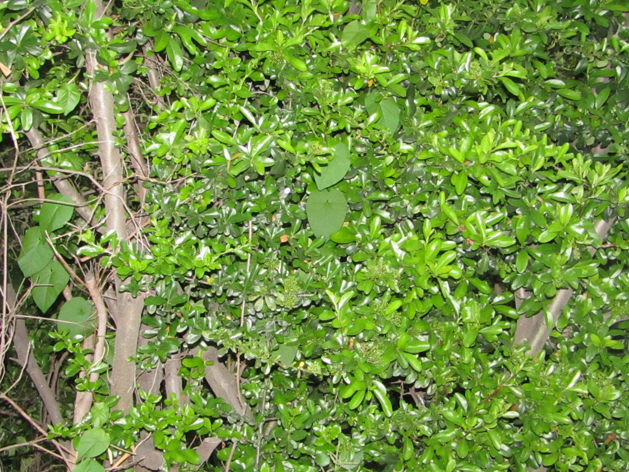 Canon POWERSHOT SX430 IS sample photo. L'importante non è la foto, l'importate è fotograf photography