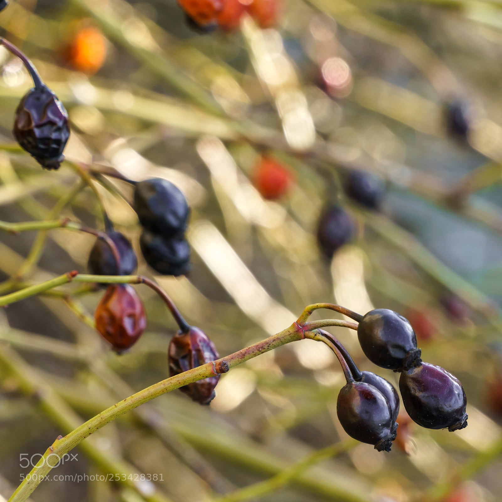 Sony a6000 sample photo. Well preserved photography