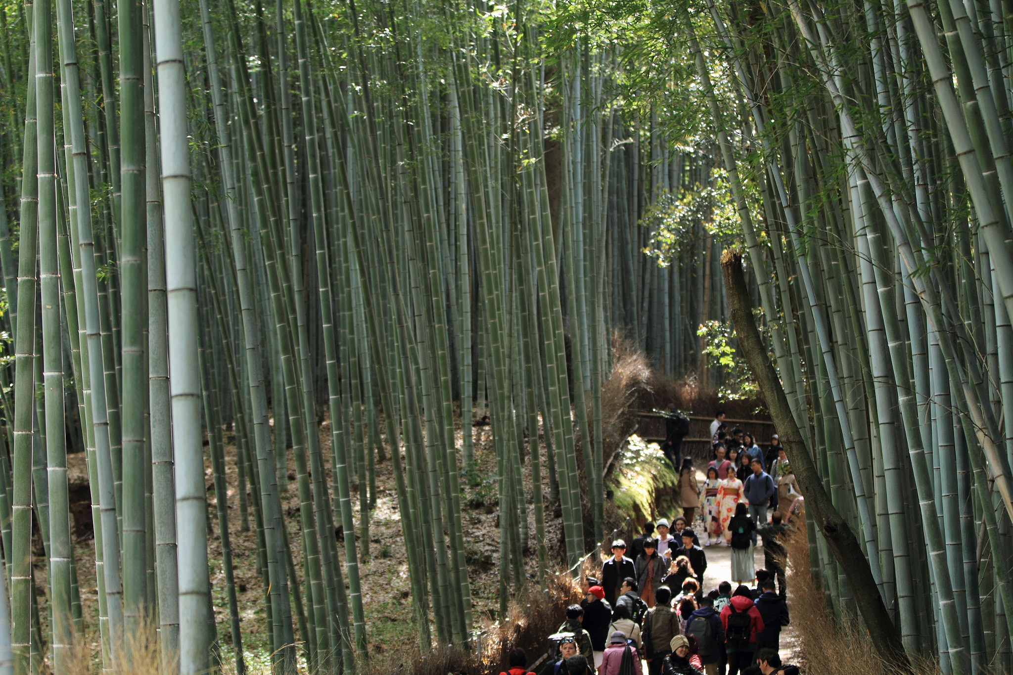 Canon EOS 7D sample photo. Img photography