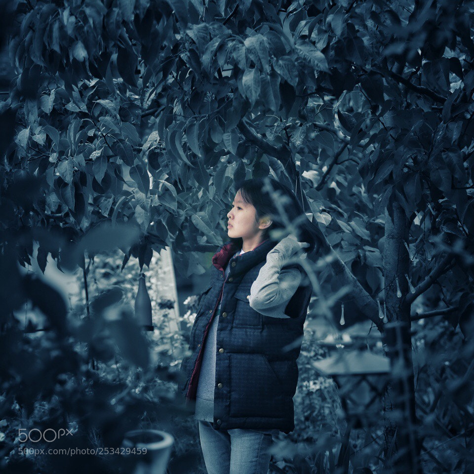 Canon EOS-1D X sample photo. Untitled photography
