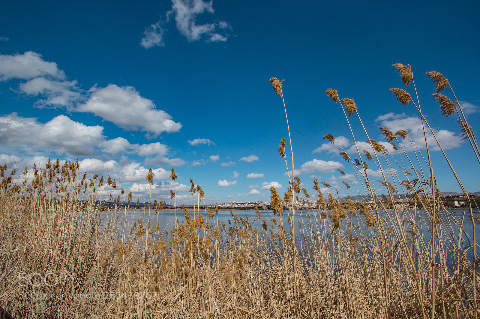 Canon EOS 60D sample photo. Mogan photography