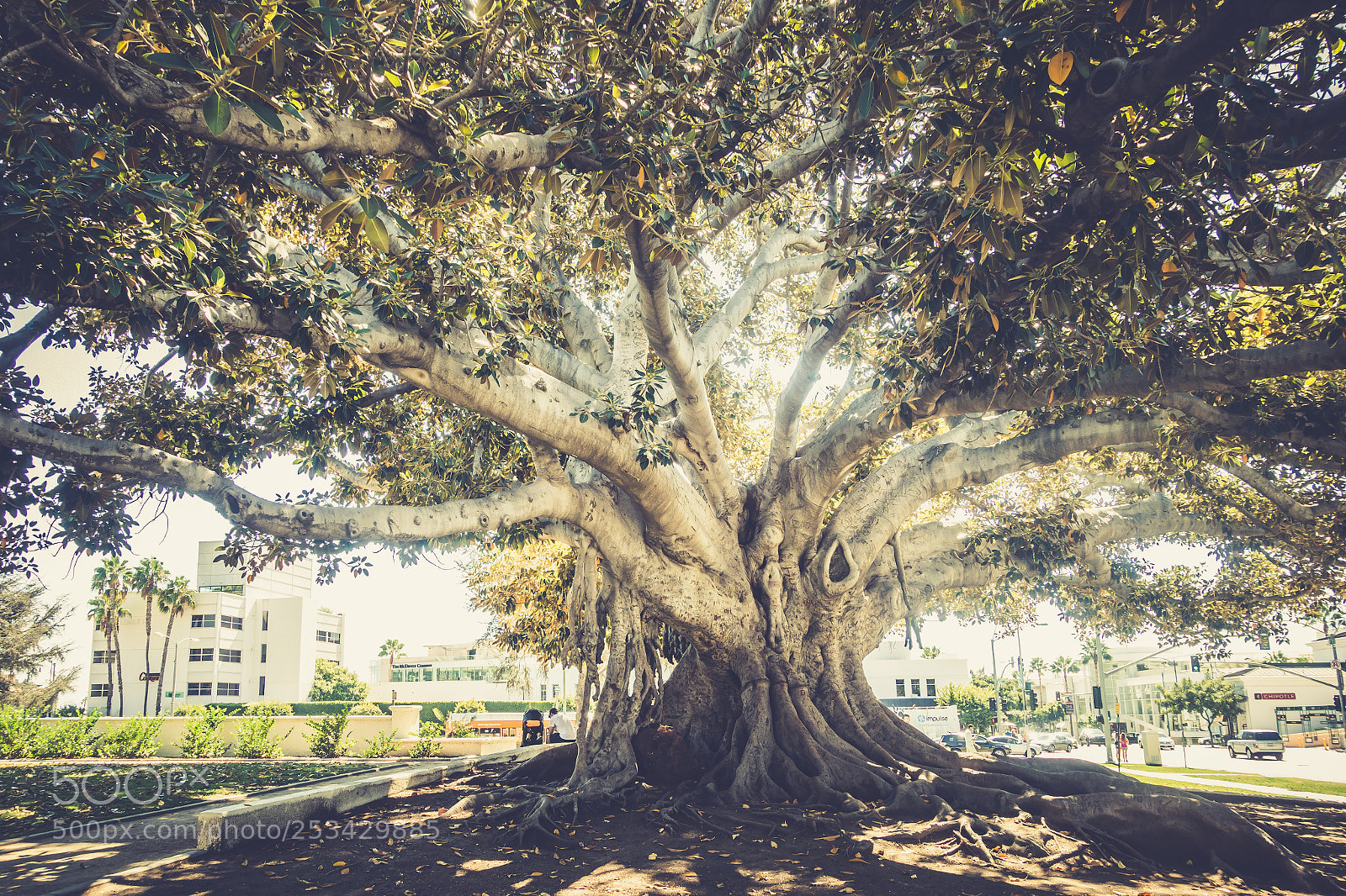 Sony Cyber-shot DSC-RX100 III sample photo. Los angeles, usa photography