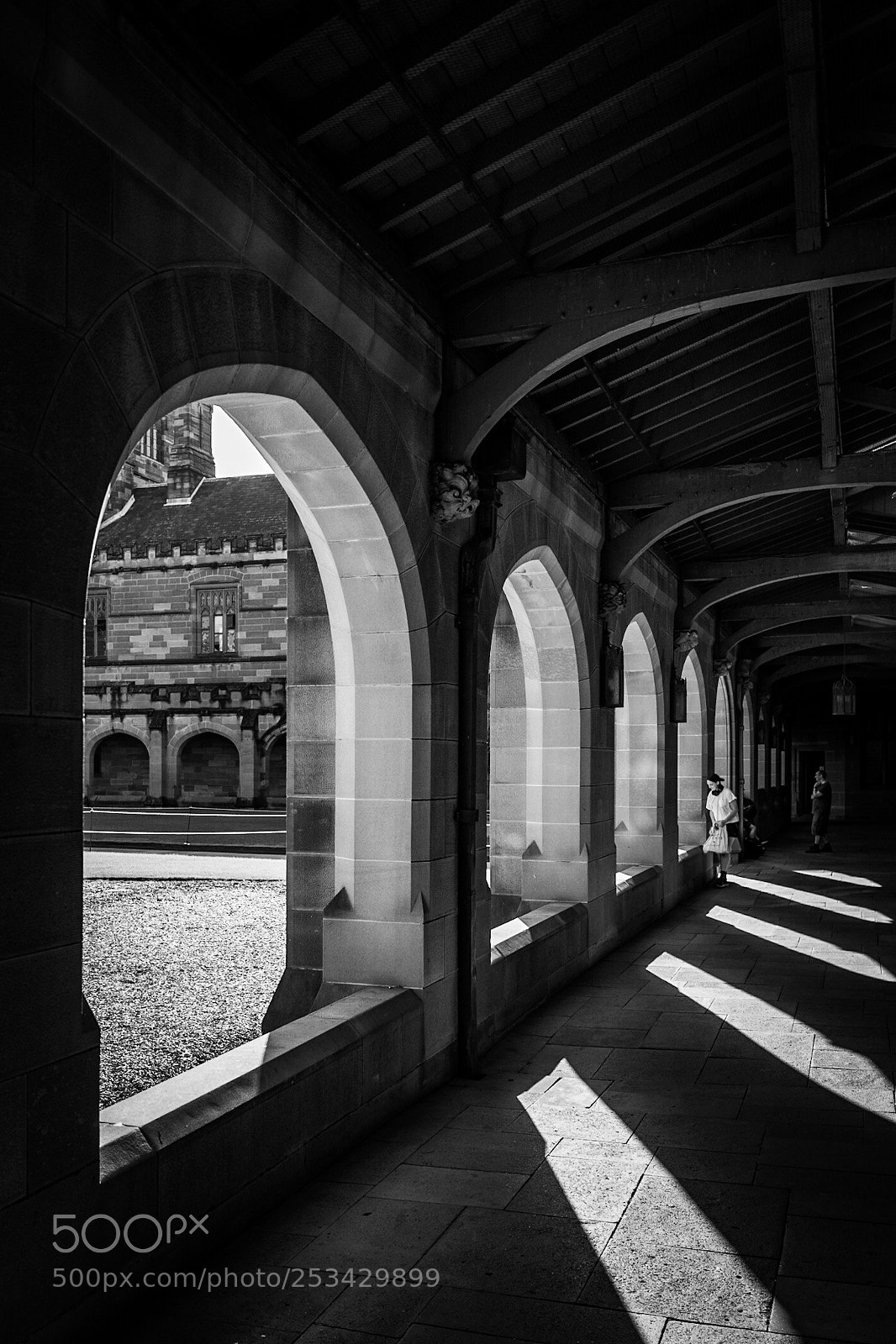 Leica Q (Typ 116) sample photo. Sydney university photography