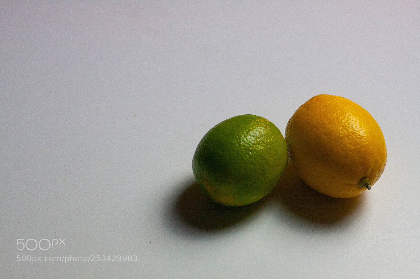 Canon EOS 40D sample photo. Citrus fruits photography