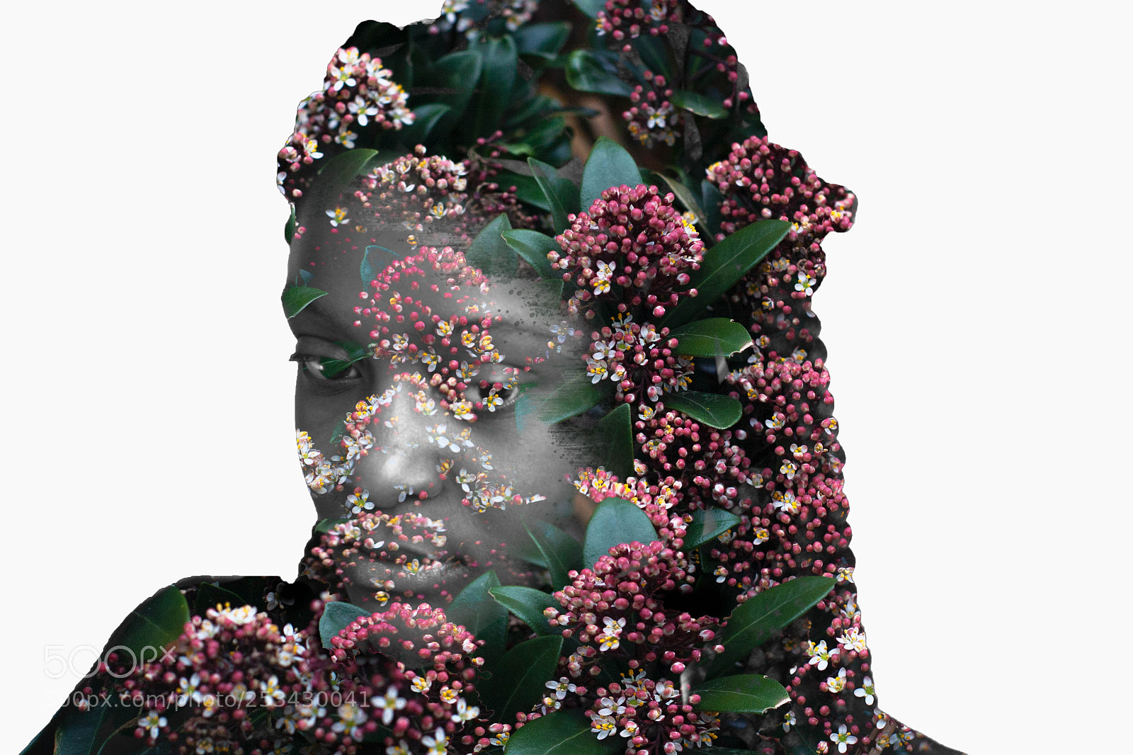 Canon EOS 40D sample photo. Flower love photography