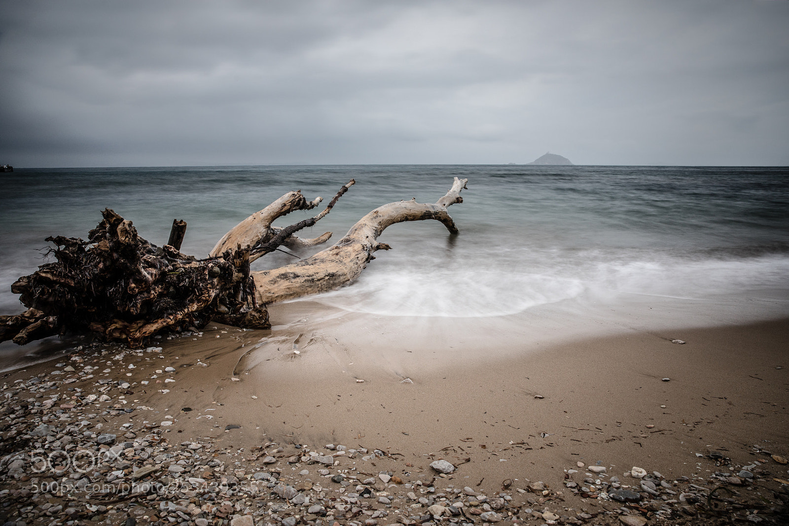 Canon EOS 5D Mark IV sample photo. Stranded tree photography