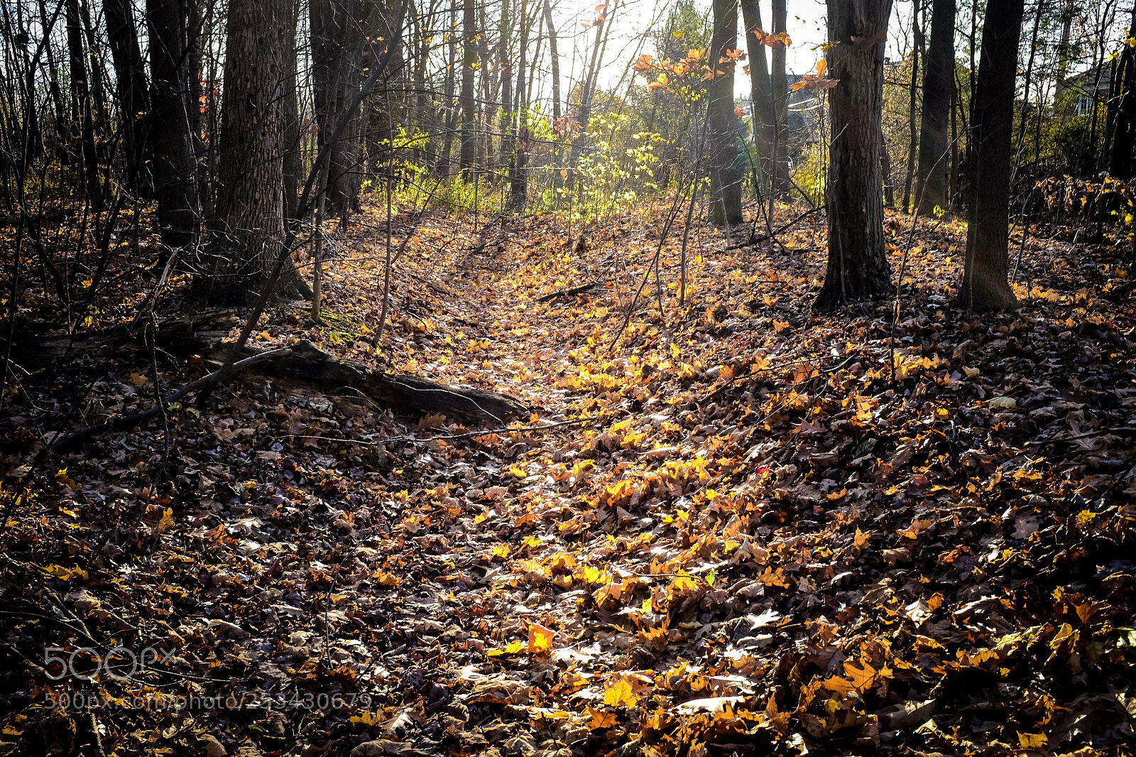 Fujifilm X100S sample photo. Into the light  photography
