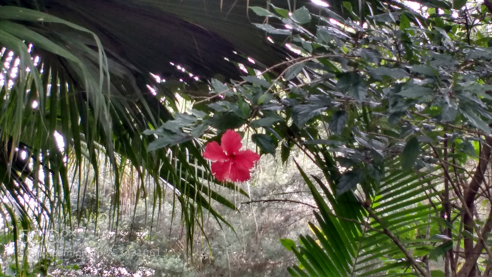 Motorola MotoG3 sample photo. Untitled photography