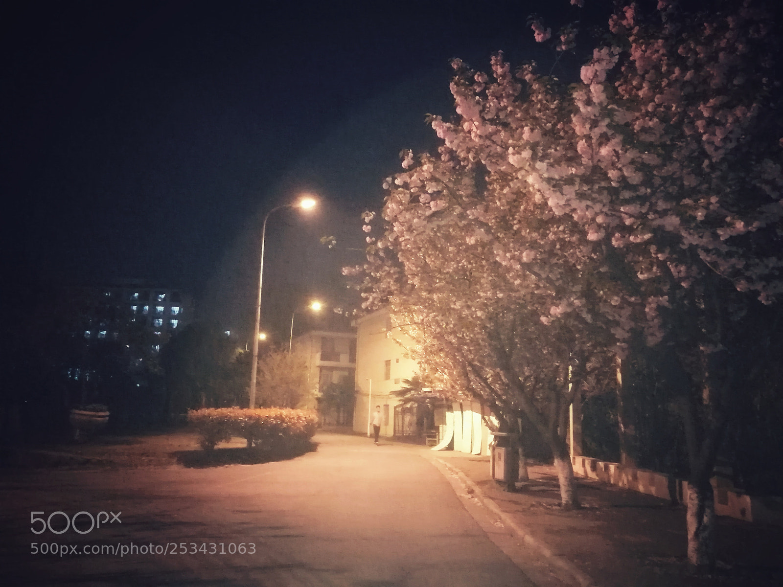HUAWEI Honor 8 sample photo. Night photography