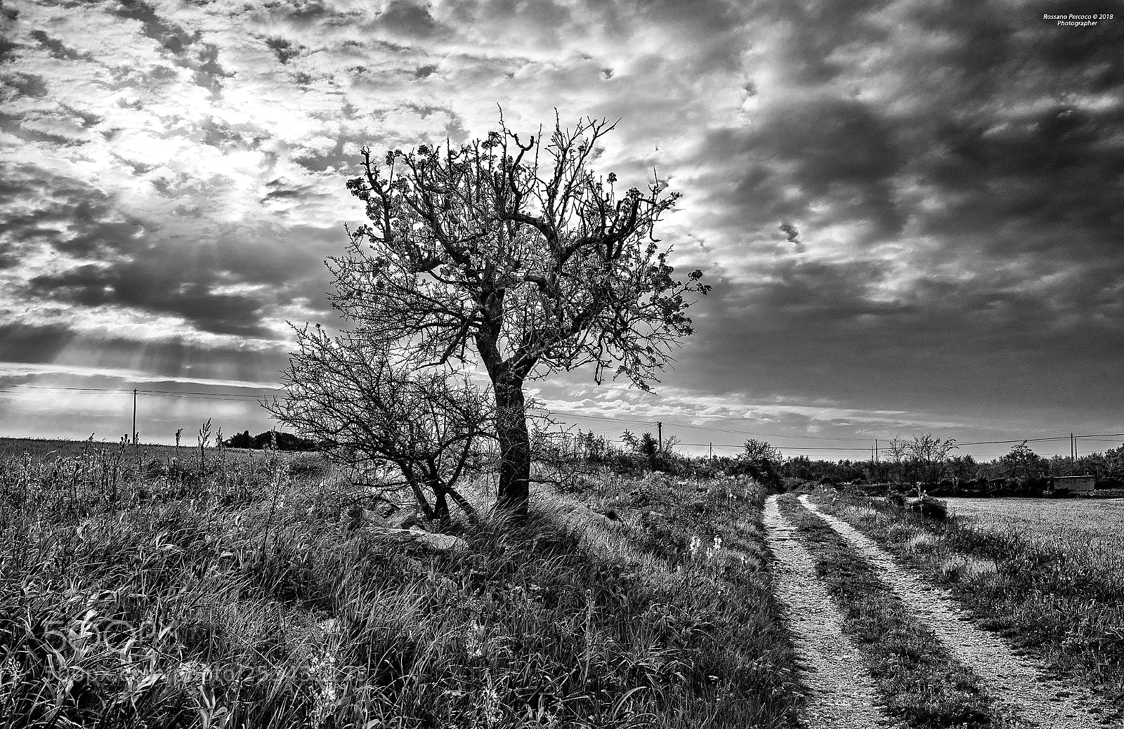 Nikon D810 sample photo. Cogliere un momento, mentre photography