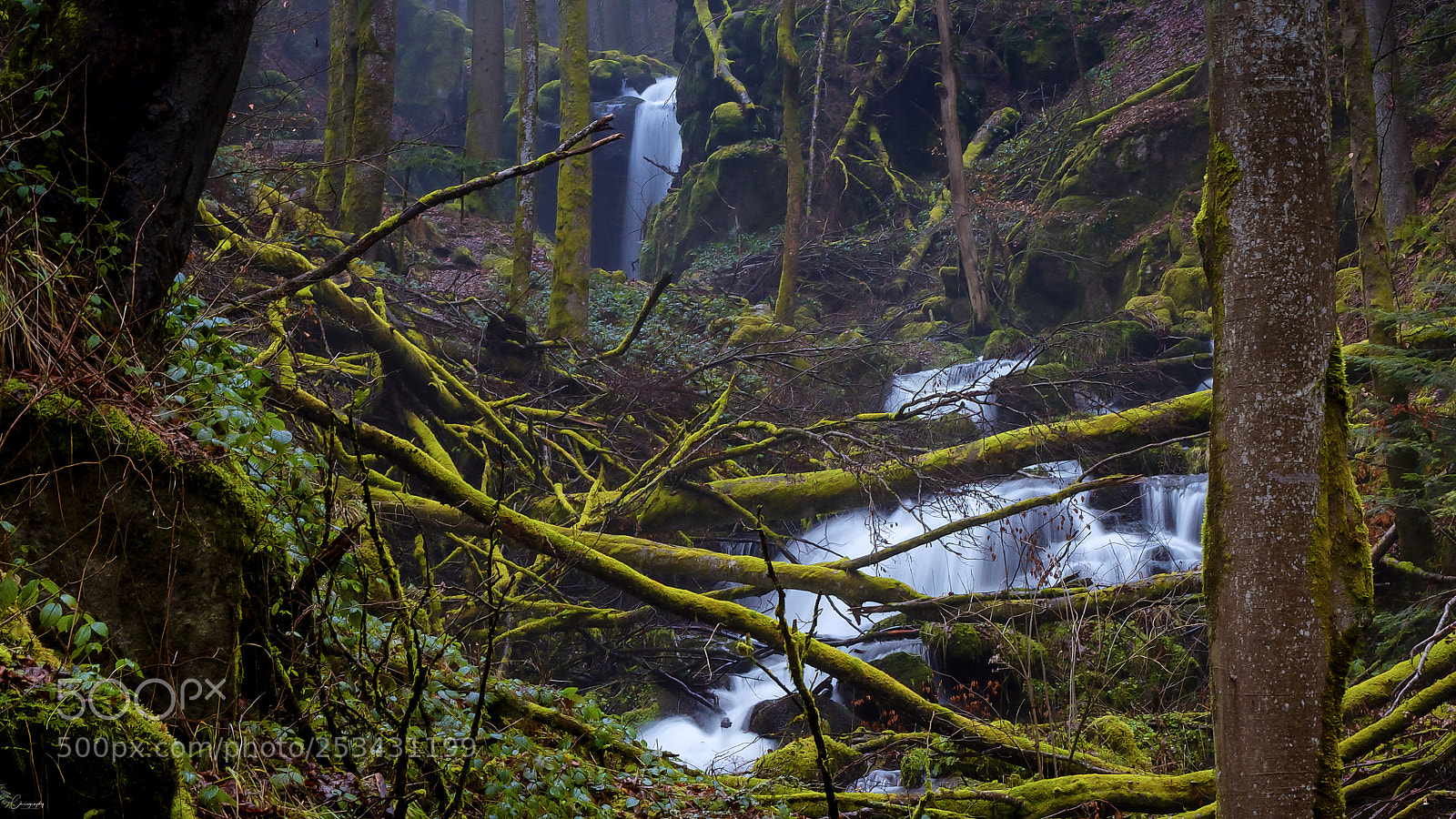 Nikon D5000 sample photo. Höllbachtal photography