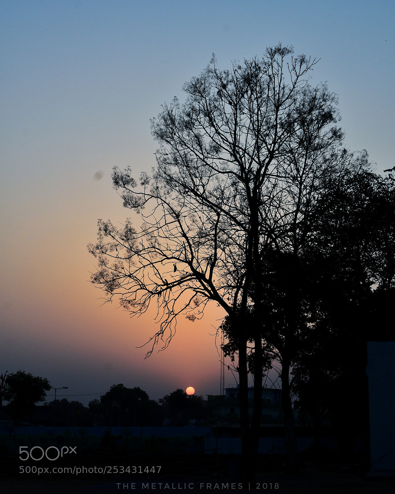 Nikon D5300 sample photo. Morning hope photography
