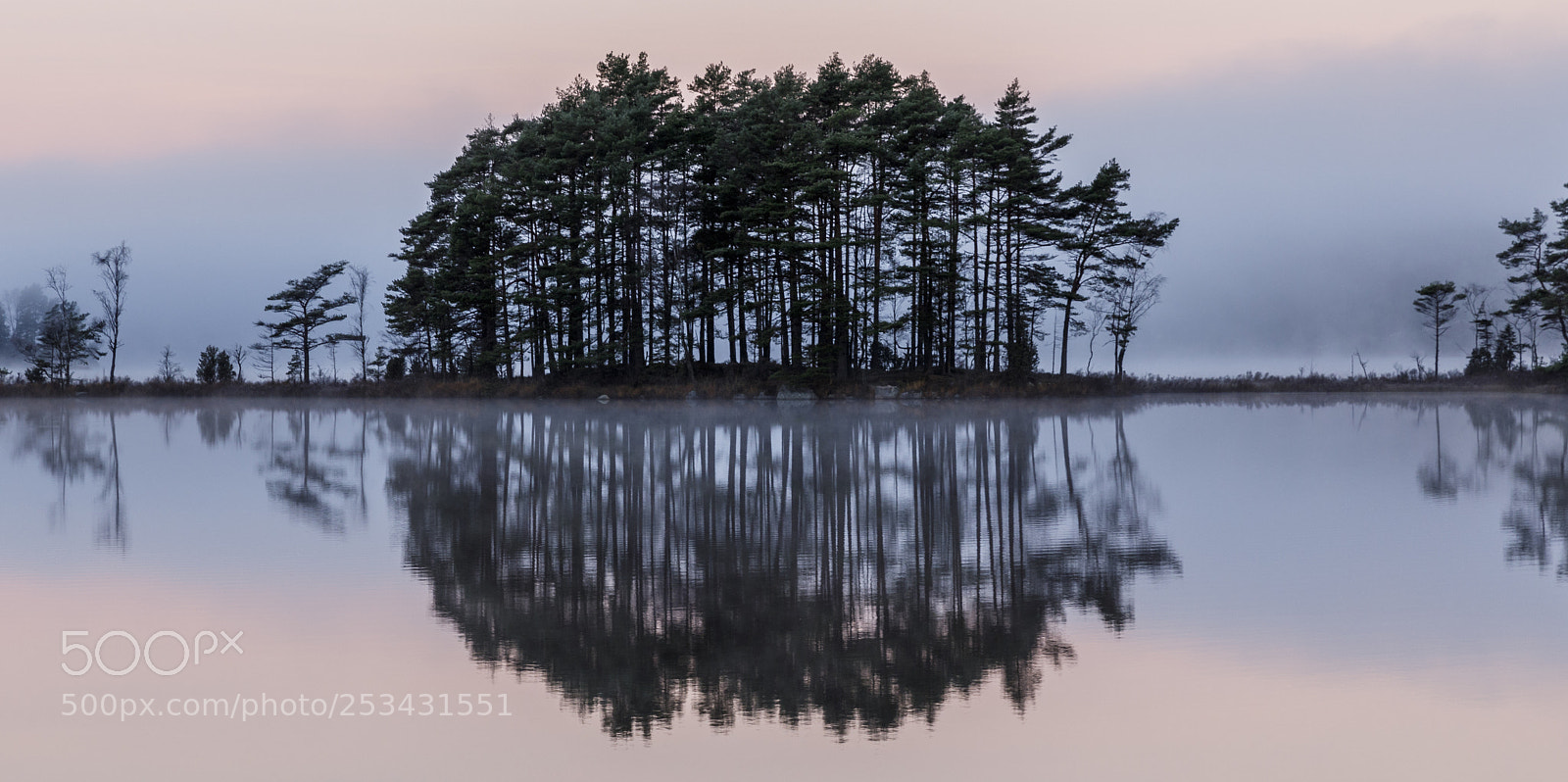 Canon EOS 5D Mark IV sample photo. Pale morning photography