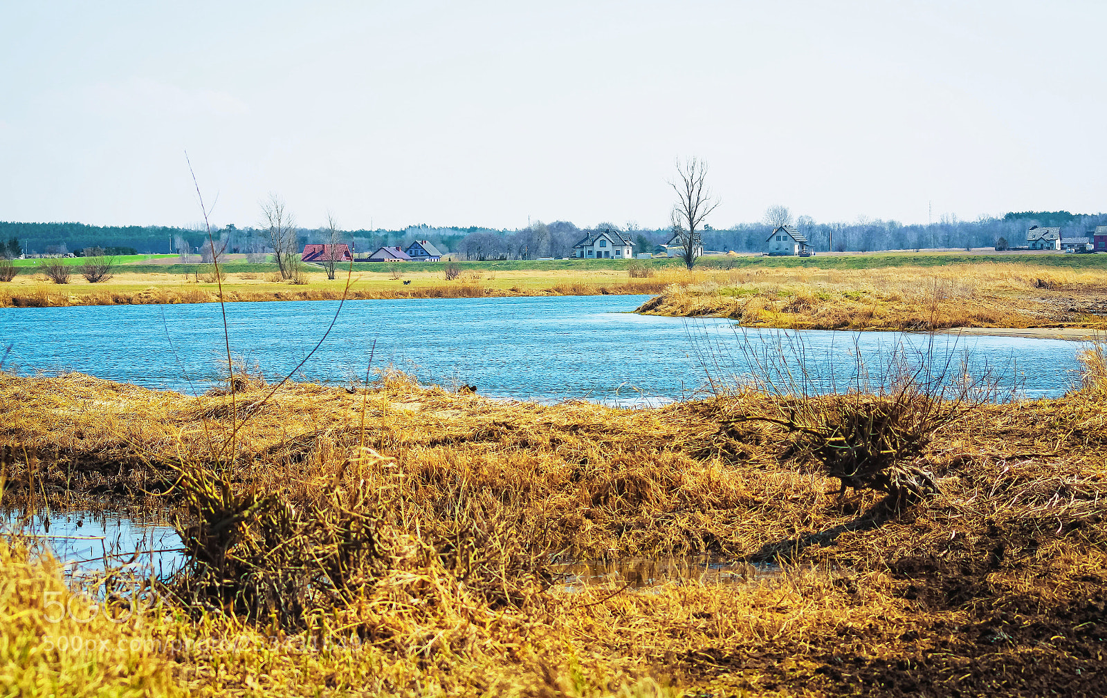 Canon EOS 50D sample photo. Spring is coming photography