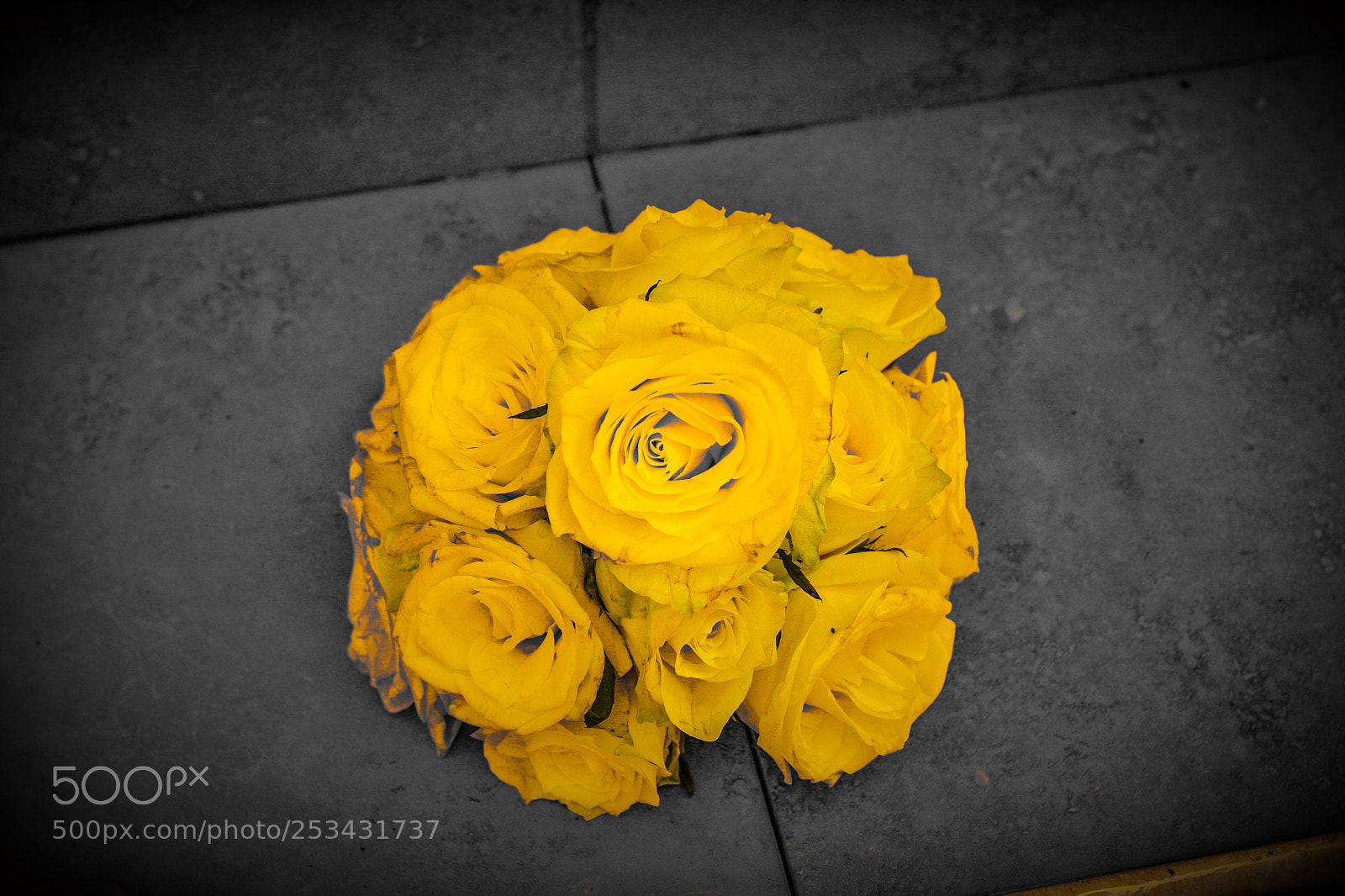 Canon EOS 40D sample photo. Only yellow photography