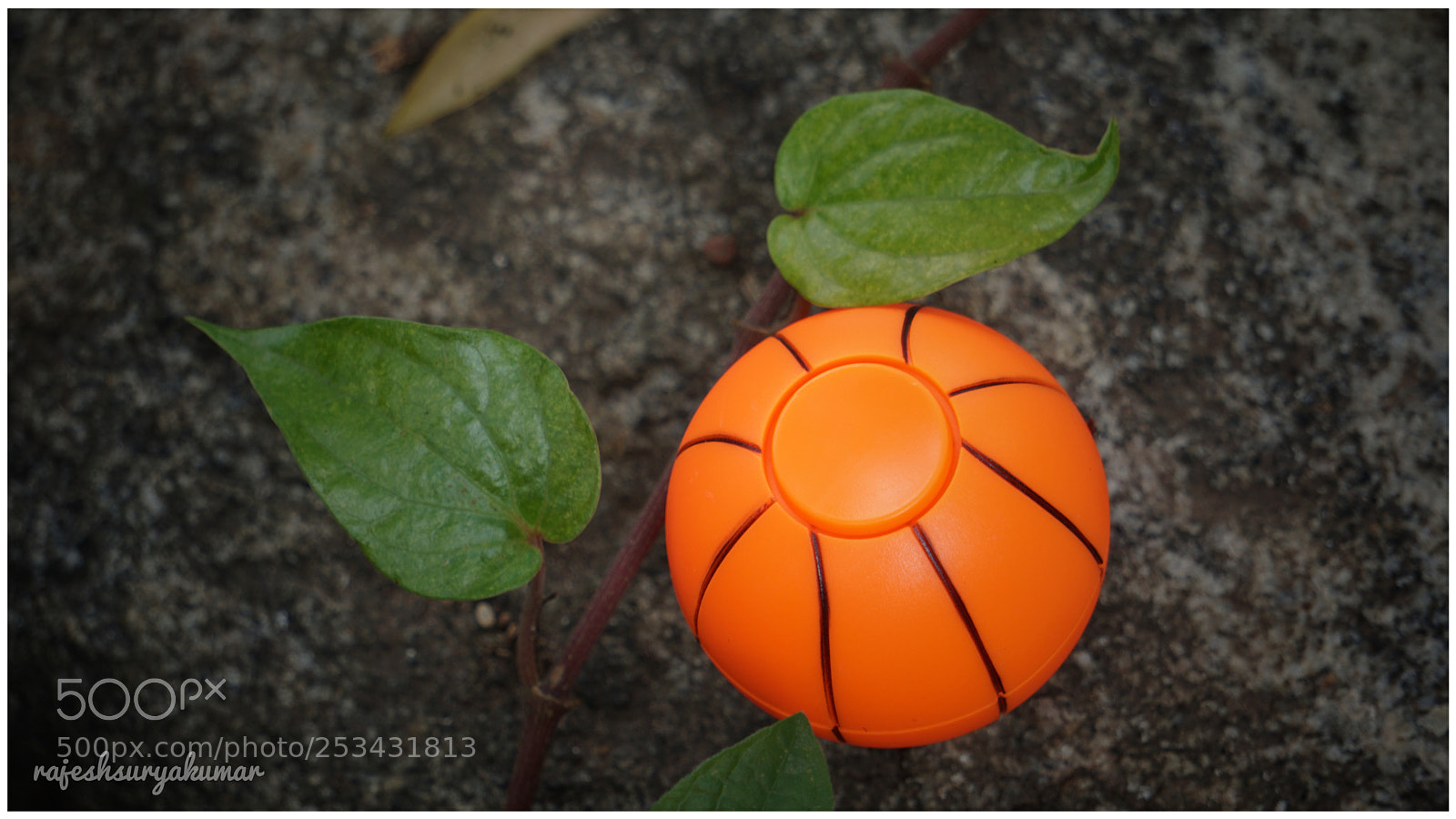 Sony a6300 sample photo. Ball & leaves photography