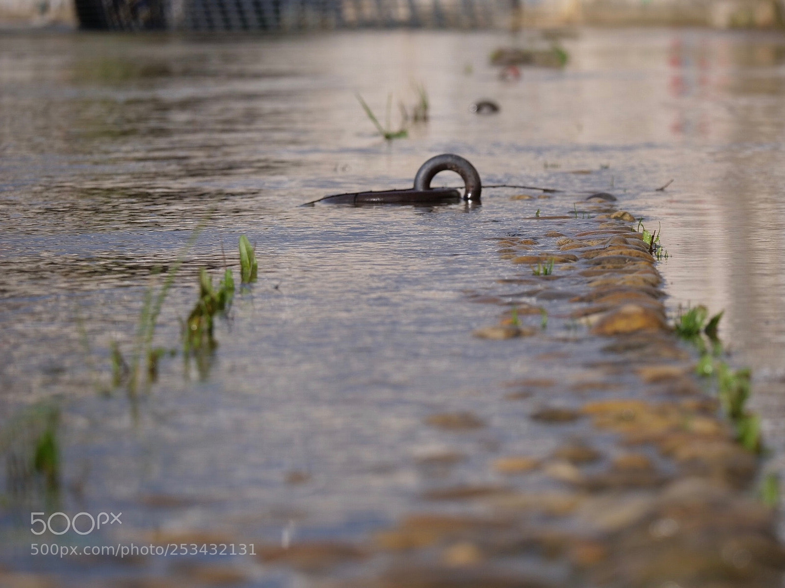 Panasonic Lumix DC-GH5 sample photo. Innondation photography