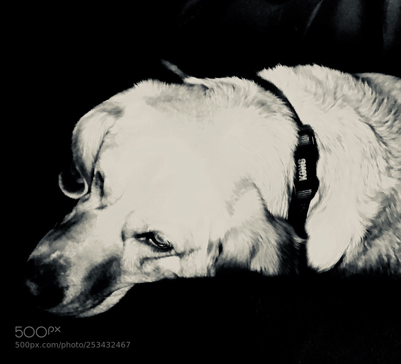Apple iPhone 7 Plus sample photo. Piper abstract photography