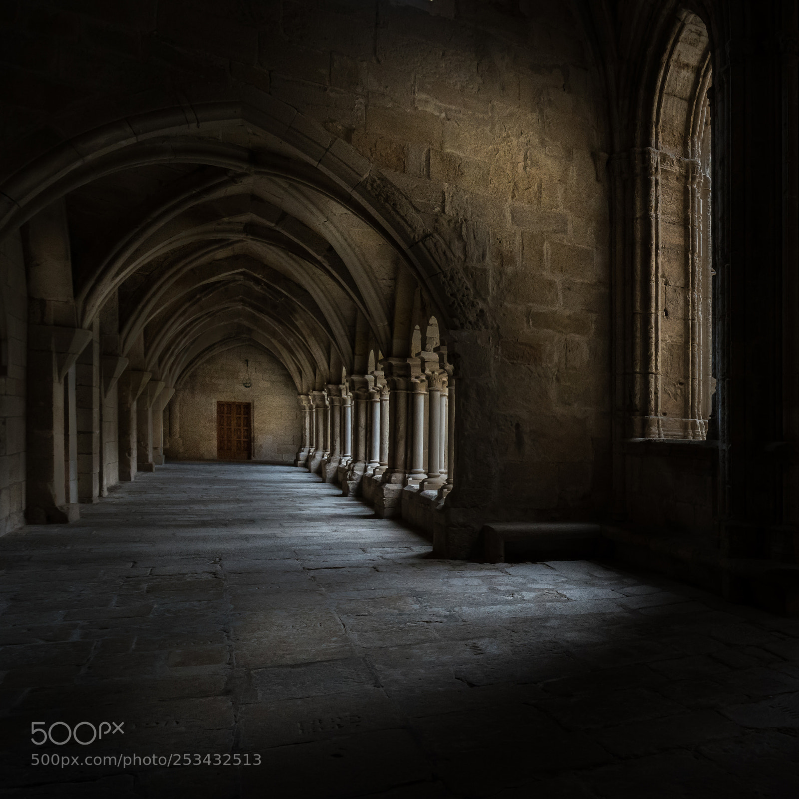 Sony a7R III sample photo. Light in the cloister photography