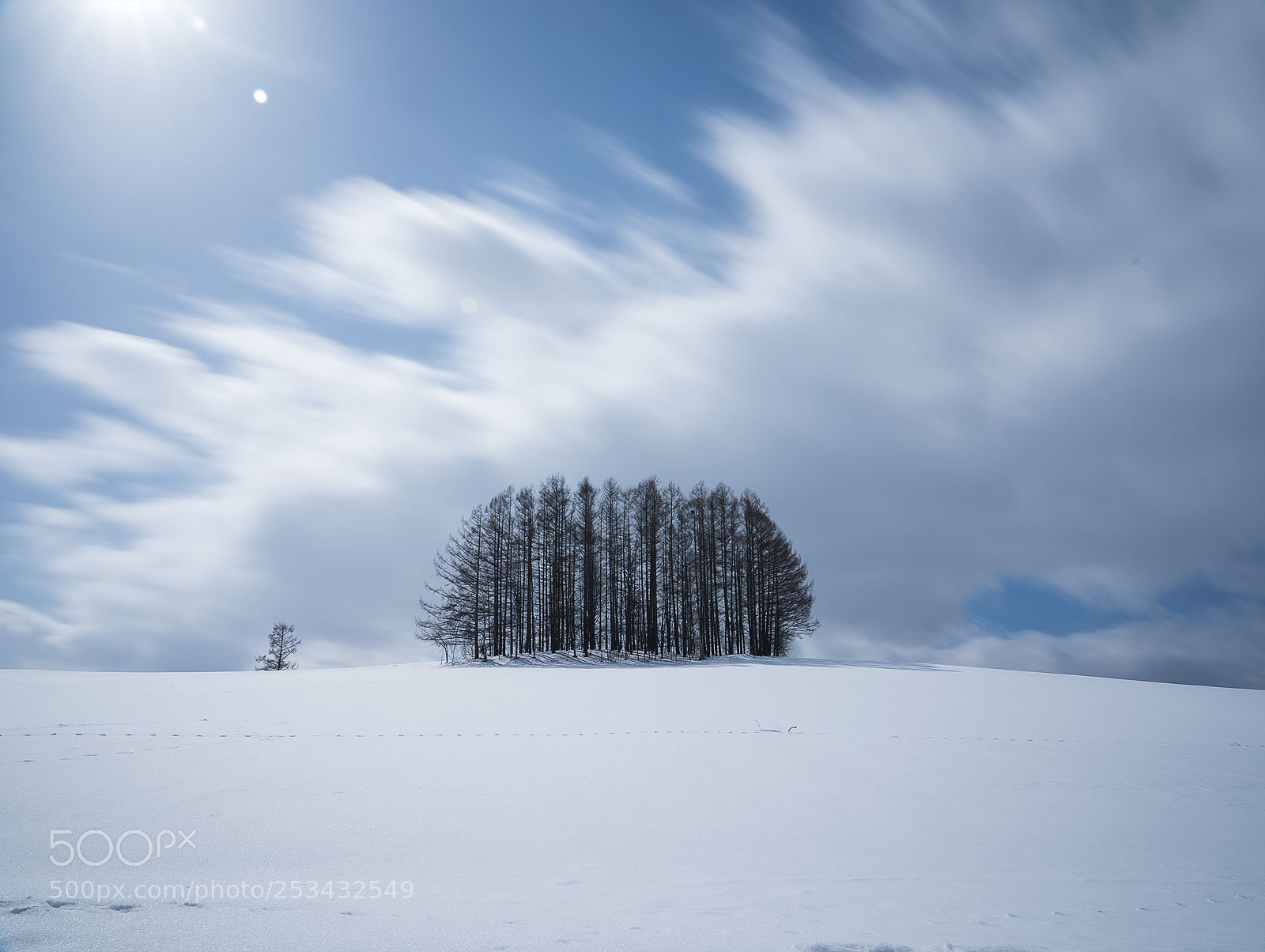 Sony a9 sample photo. White world photography