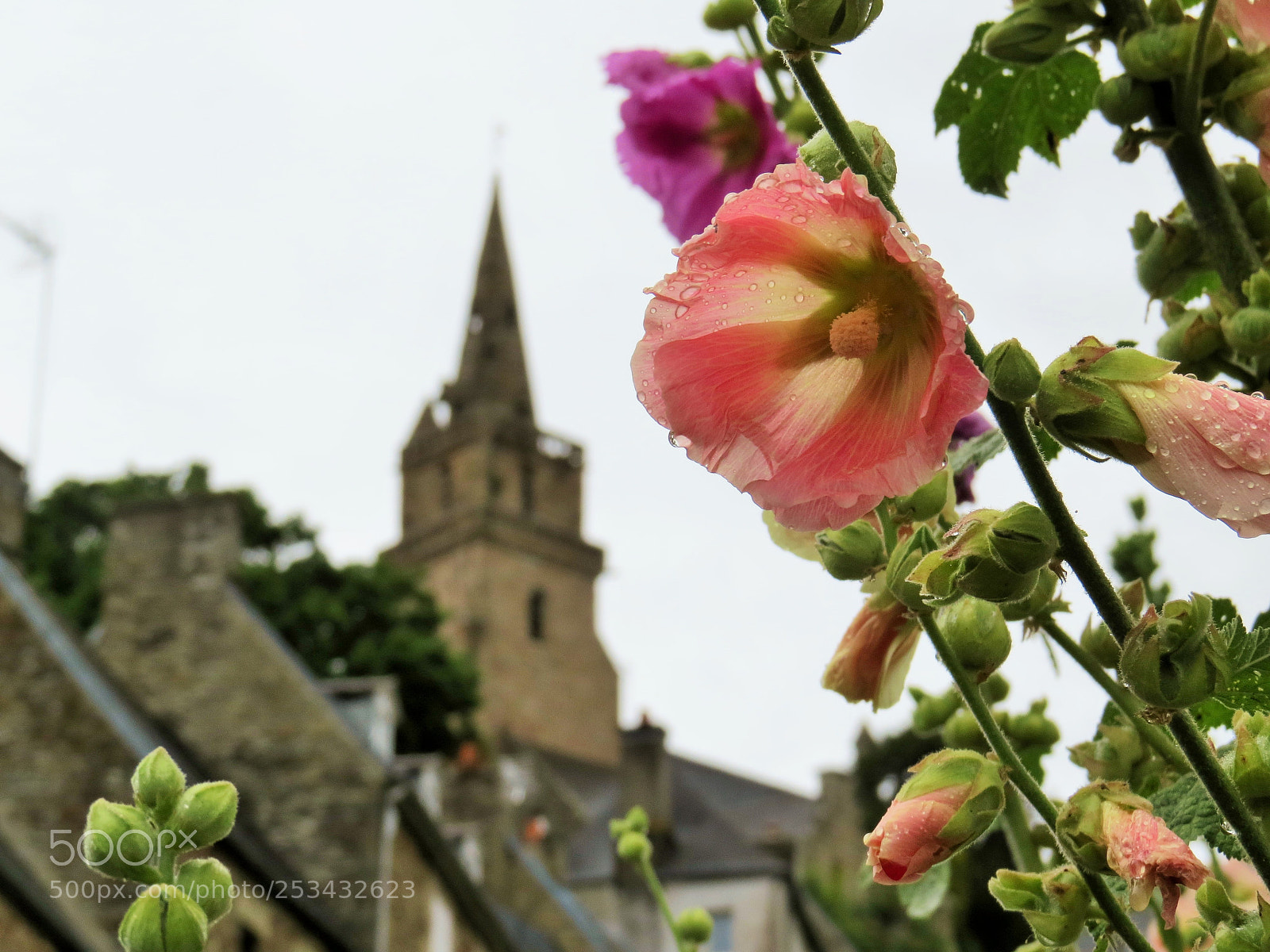 Canon PowerShot SX50 HS sample photo. France photography