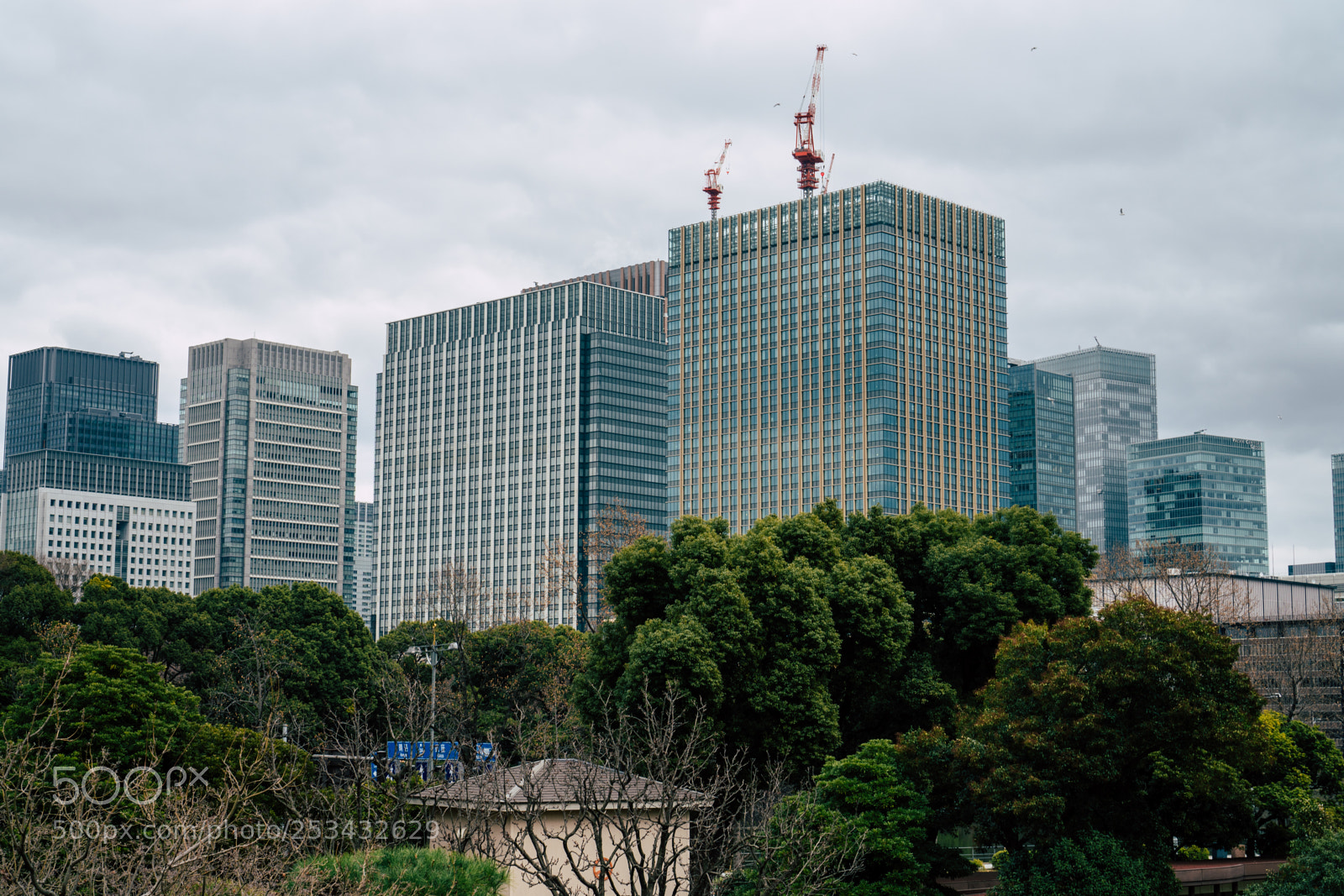 Sony a6300 sample photo. Highrise photography