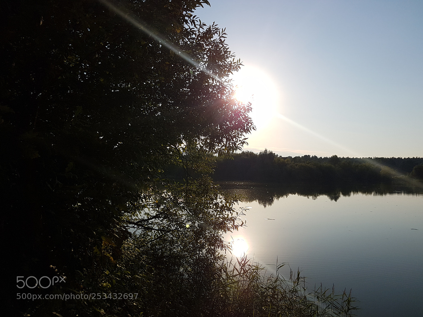 Samsung Galaxy S7 Edge sample photo. Untitled photography