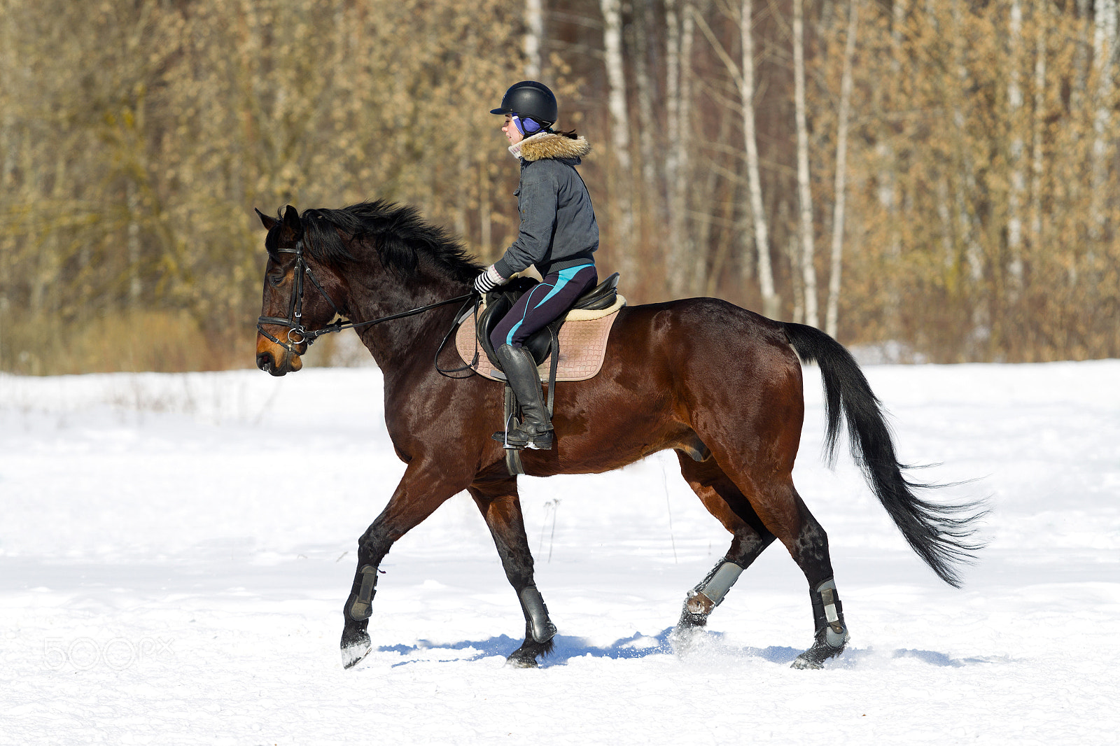 Canon EOS-1D Mark IV sample photo. Horseback riding. a woman photography