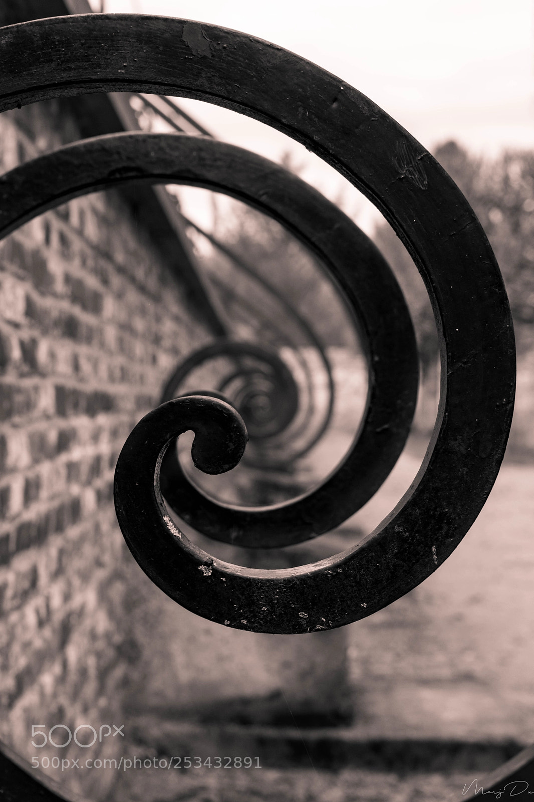 Nikon D5500 sample photo. Tout en spirale photography