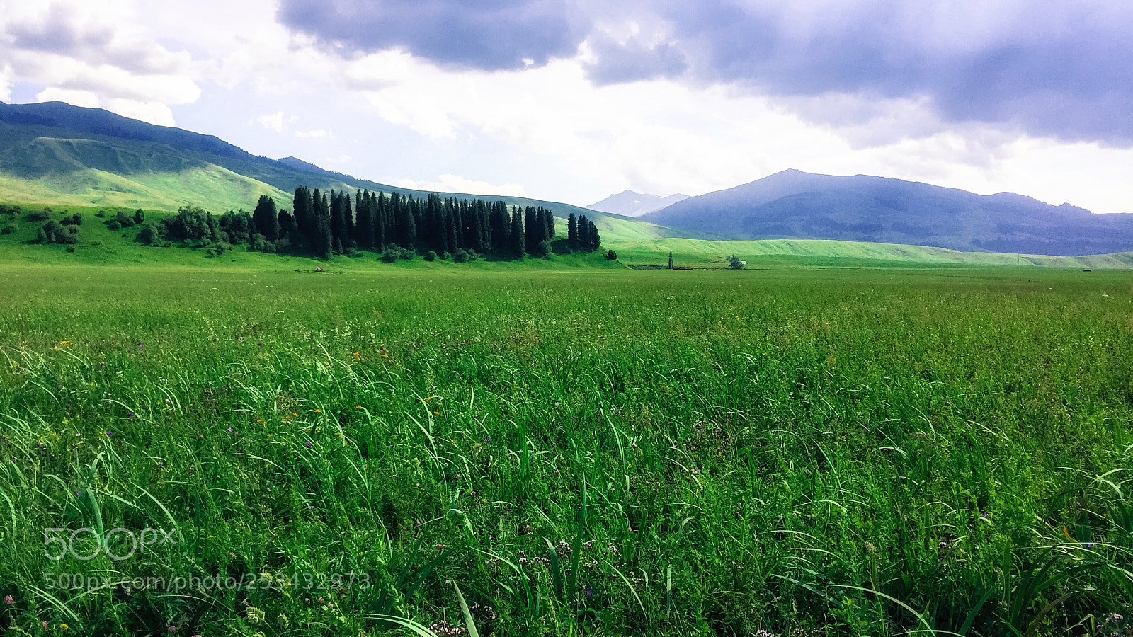 Apple iPhone 6 sample photo. The yili valley photography