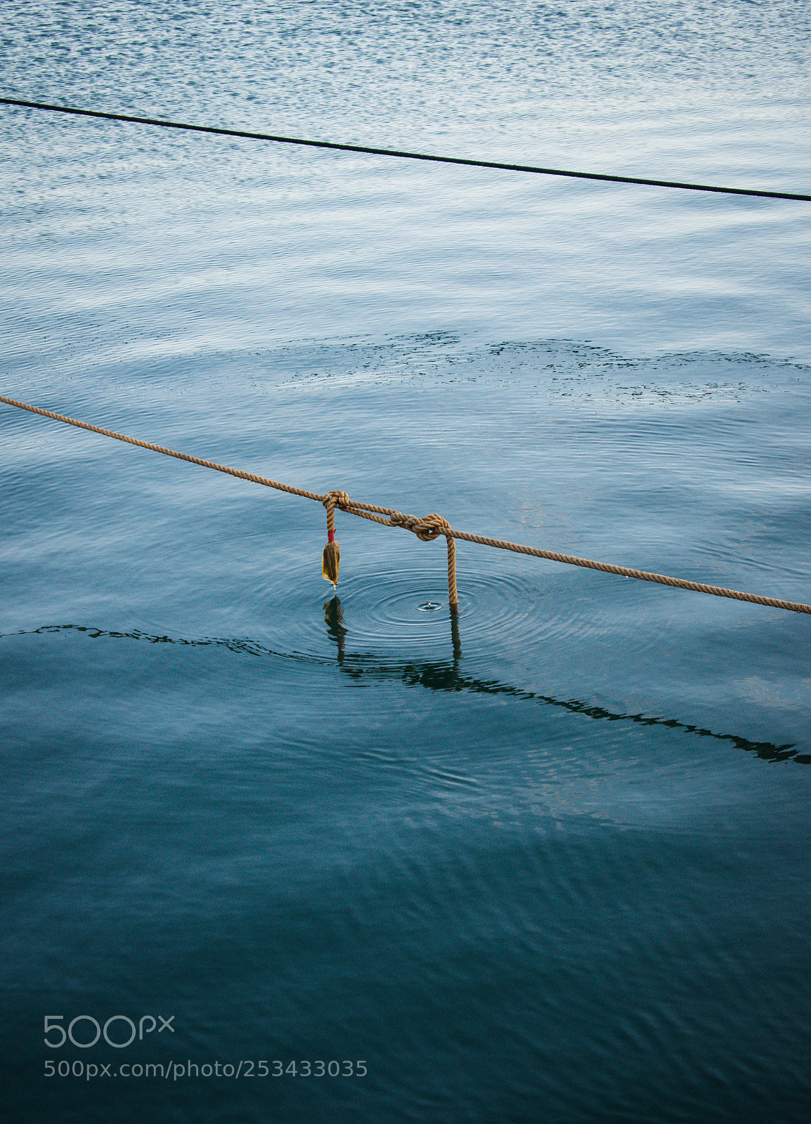 Nikon D3300 sample photo. Sealife photography