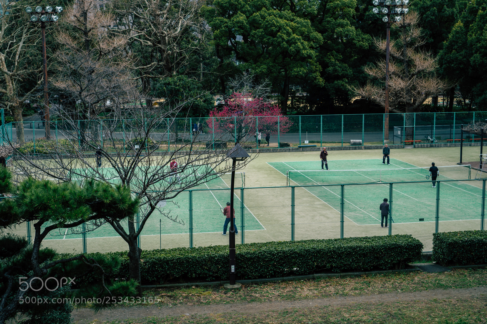 Sony a6300 sample photo. Tennis photography